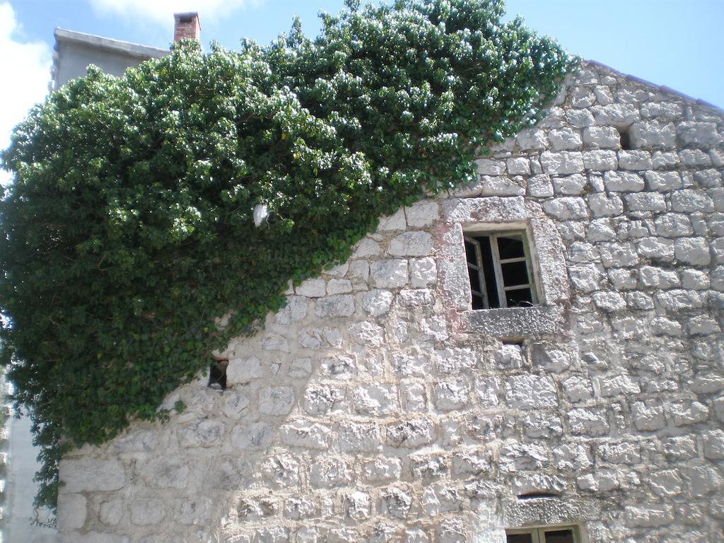 Villa Lidija Budva Zimmer foto
